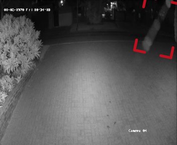 Night-time infrared detection on a driveway camera